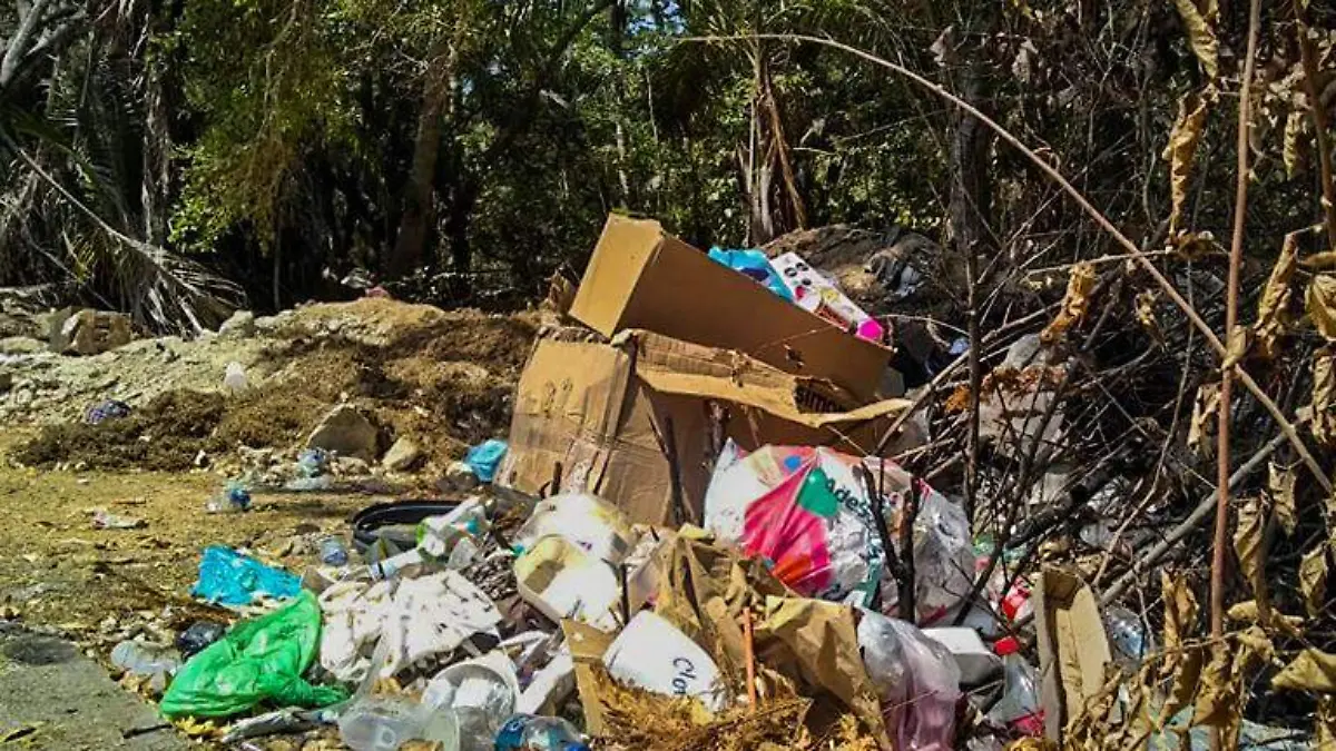 Basura coloso calles